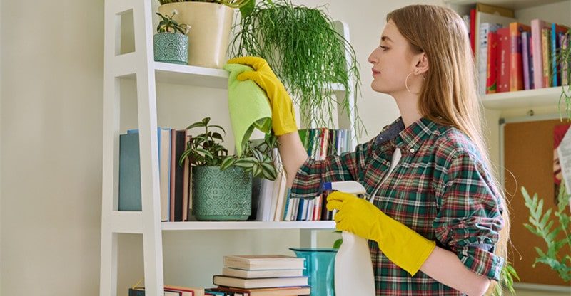 Defend Your Funding: Important Cleansing Ideas for Owners