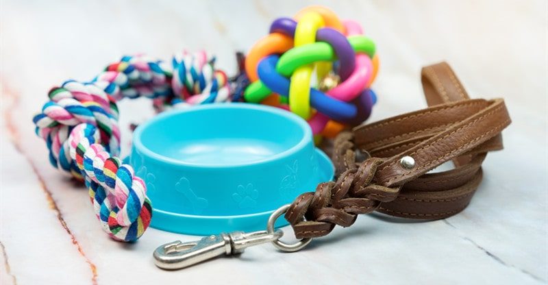 Pet Merchandise For Totally different Levels Of A Pet’s Life