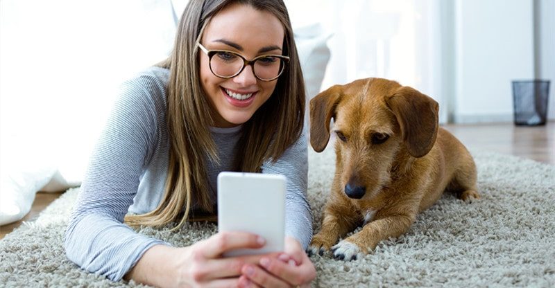 5 Prime Financial savings Suggestions For Pet Homeowners